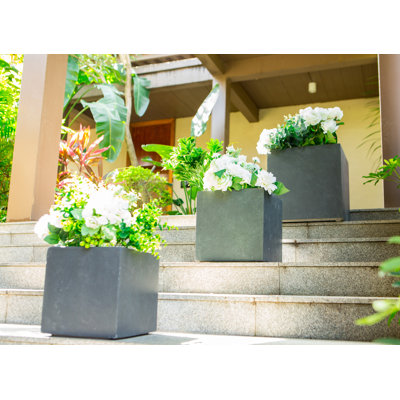 Jakelyn Pot Planter