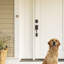 Bouton poussoir de patte de chien-15024142