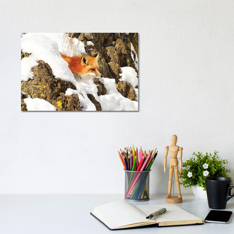 Peek A Boo Fox by Brian Wolf - Wrapped Canvas Print, 20.32cm H x 30.48cm W x 1.91cm D