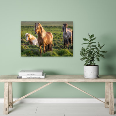 «Wild Horses Golden Field Abstract Contemporary Horse Nature Landscape», reproduction d'art mural