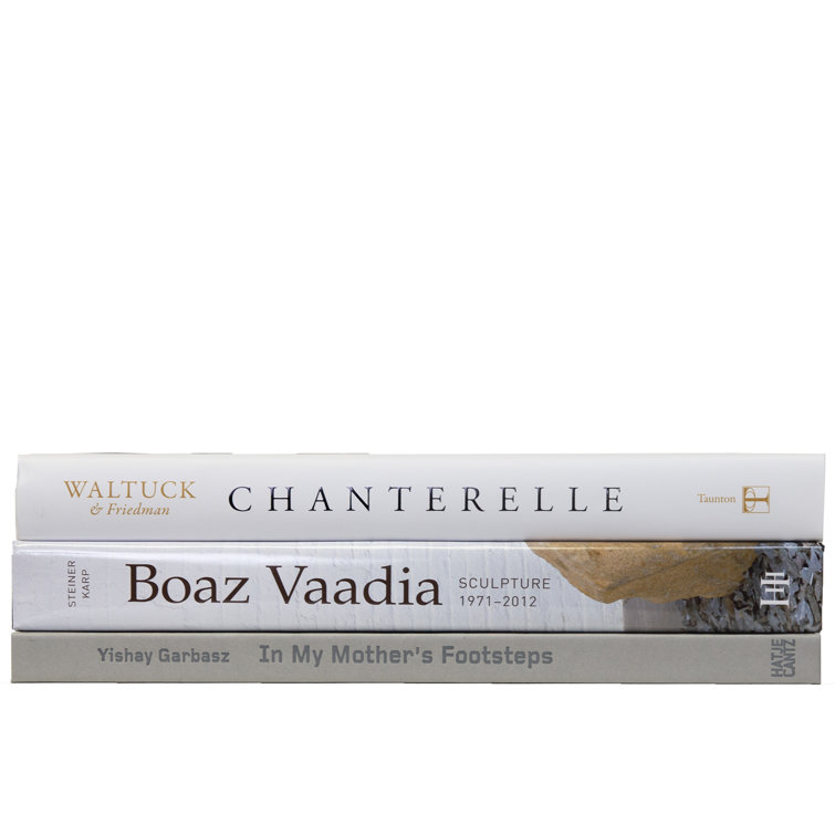 https://assets.wfcdn.com/im/66630741/resize-h755-w755%5Ecompr-r85/2206/220601724/Hicham+Books+And+Media+Decorative+Book.jpg