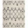 Alieshia Berber Shag Performance Geometric Rug