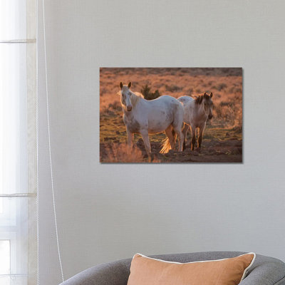 Wild Horses At Sunset by Ken Archer - Wrapped Canvas Gallery-Wrapped Canvas Giclée
