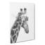 Giraffe Vol.5 - Wrapped Canvas-61855340