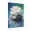 Abstrait lotus blanc sur pierre en reflet de l'eau-206579635