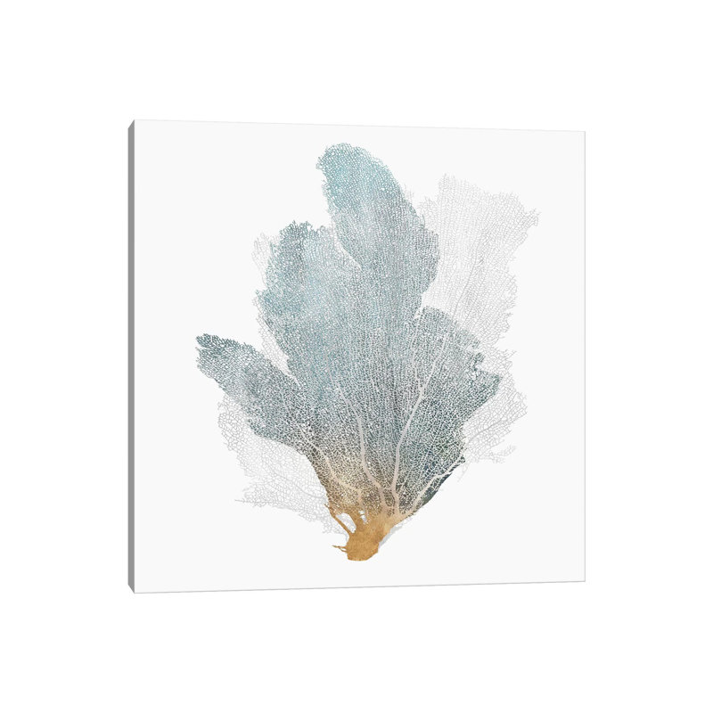 Delicate Coral II 1 Piece Wall Art on Canvas, 45.72 cm H x 45.72 cm W x 1.91 cm D, Wrapped Canvas