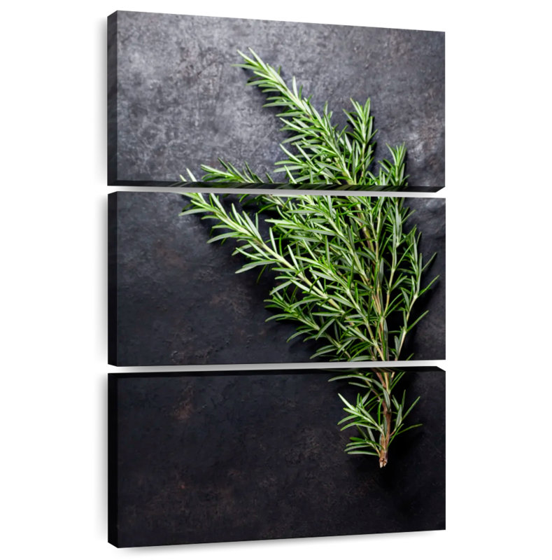 Harnek Fresh Rosemary Herb, 38" H x 24" W