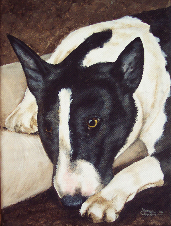 Drapeau de jardin Bull Terrier par Tanya et Craig Amberson, H 15 po x l 11 po