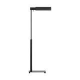 Leonard 43.5'' Aged Iron Task Floor Lamp