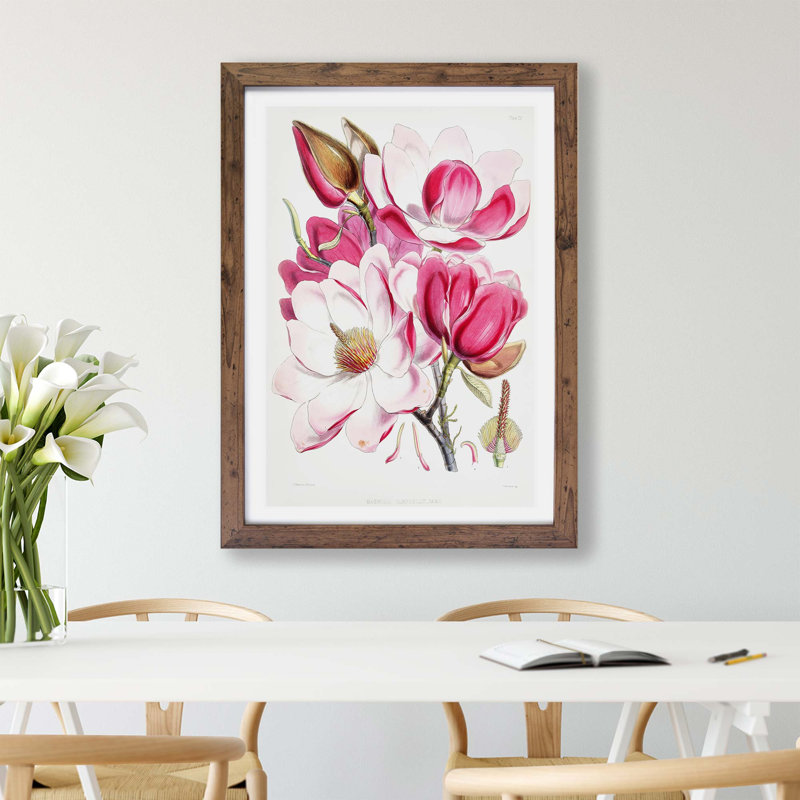 Himalayan Magnolia Flowers by W. H. Fitch - Single Picture Frame Painting, Walnut, 45cm H x 63cm W x 2cm D
