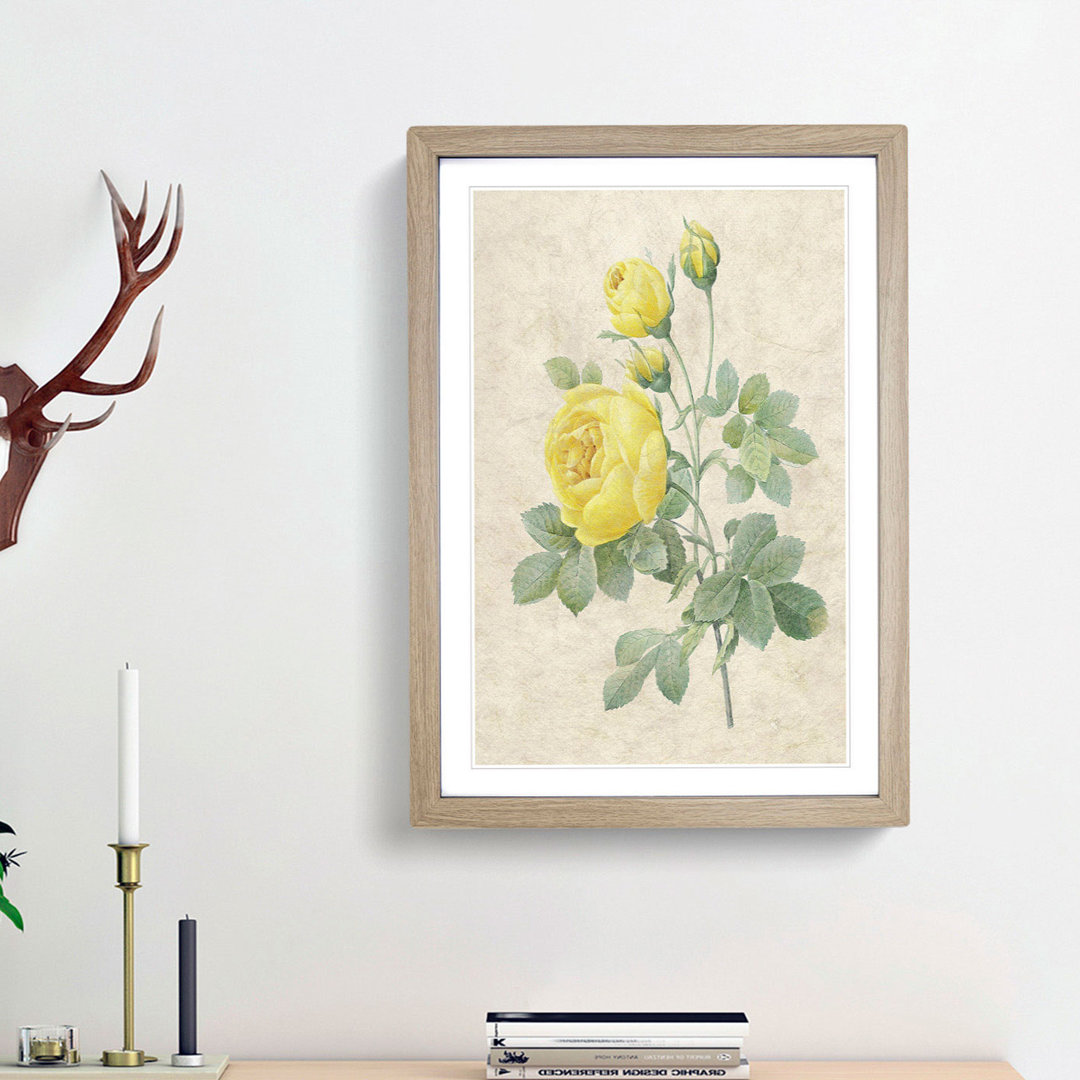 The Yellow Roses by Pierre-Joseph Redouté - Picture Frame Painting Print