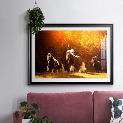 " Horse Motion V "