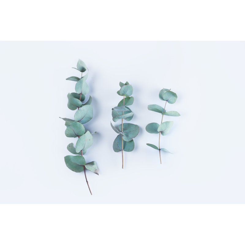 Green Floral Composition by Neirfy - Wrapped Canvas Print, 30cm H x 46cm W