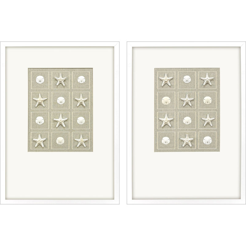 Shell Collection Framed Art