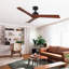 Ventilateur de plafond 52 po noir Lowe