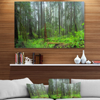 Hoh Rain Forest - Wrapped Canvas Photograph Print