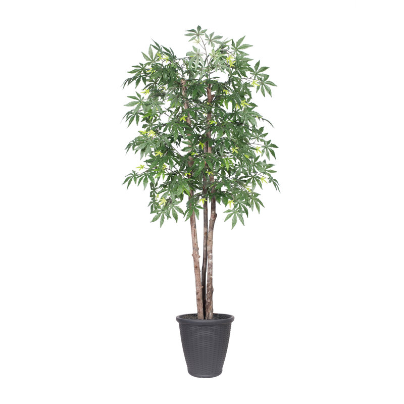 Érable artificiel en pot 72 po, gris