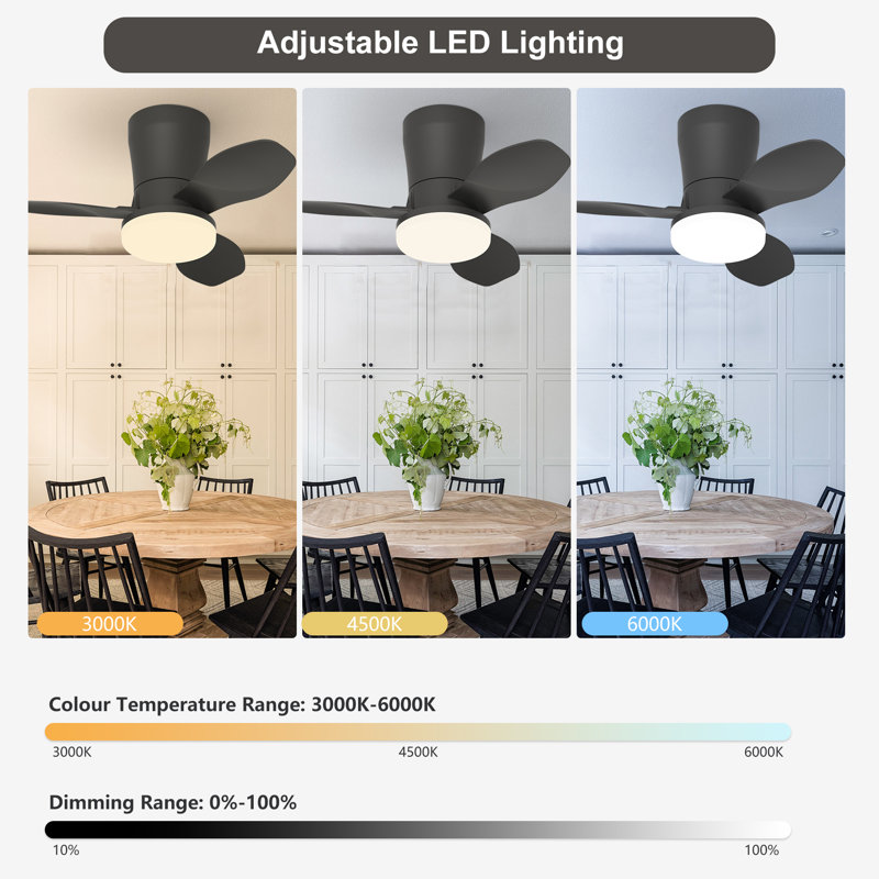 65cm Ceiling Fan with LED Lights, Black, Black
