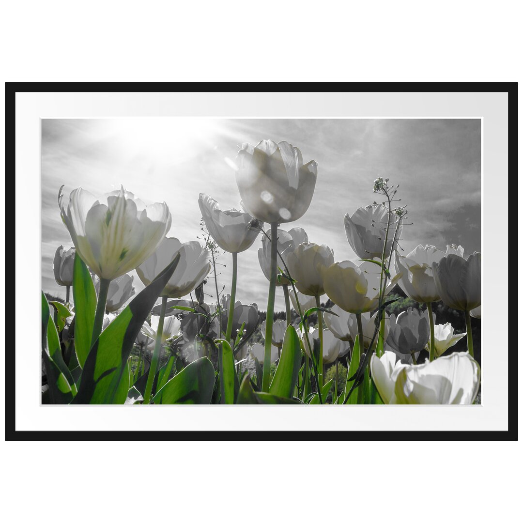 Gerahmtes Poster Wunderschöne Tulpenwiese