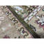Wool Oriental Area Rug in Green