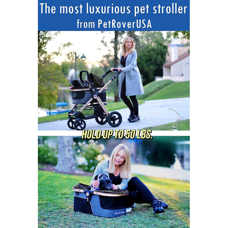 Gray Aluminum 3-in-1 Pet Stroller with Detachable Carrier