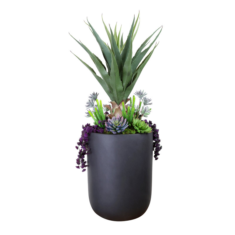 Agave en pot de Fiberstone avec cactus et Echeveria