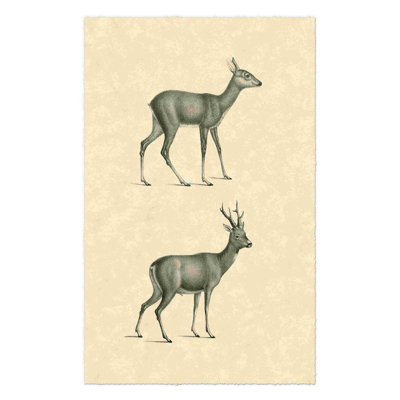 Cerf rétro I