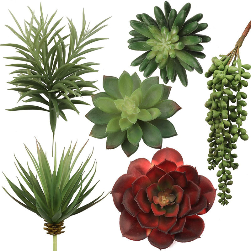 Artificial Succulent (Set of 6) 