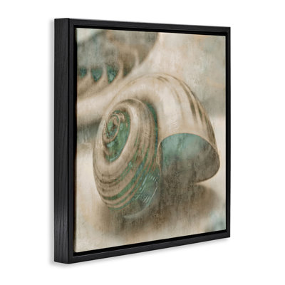 Art mural sur toile flottant centré Sharkeye Seashell Grain
