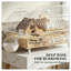 Cage pour petits animaux avec cabane en bois naturel et corps en PET transparent pour hamsters