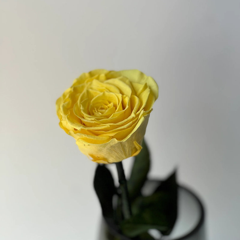 Arrangement de roses préservées