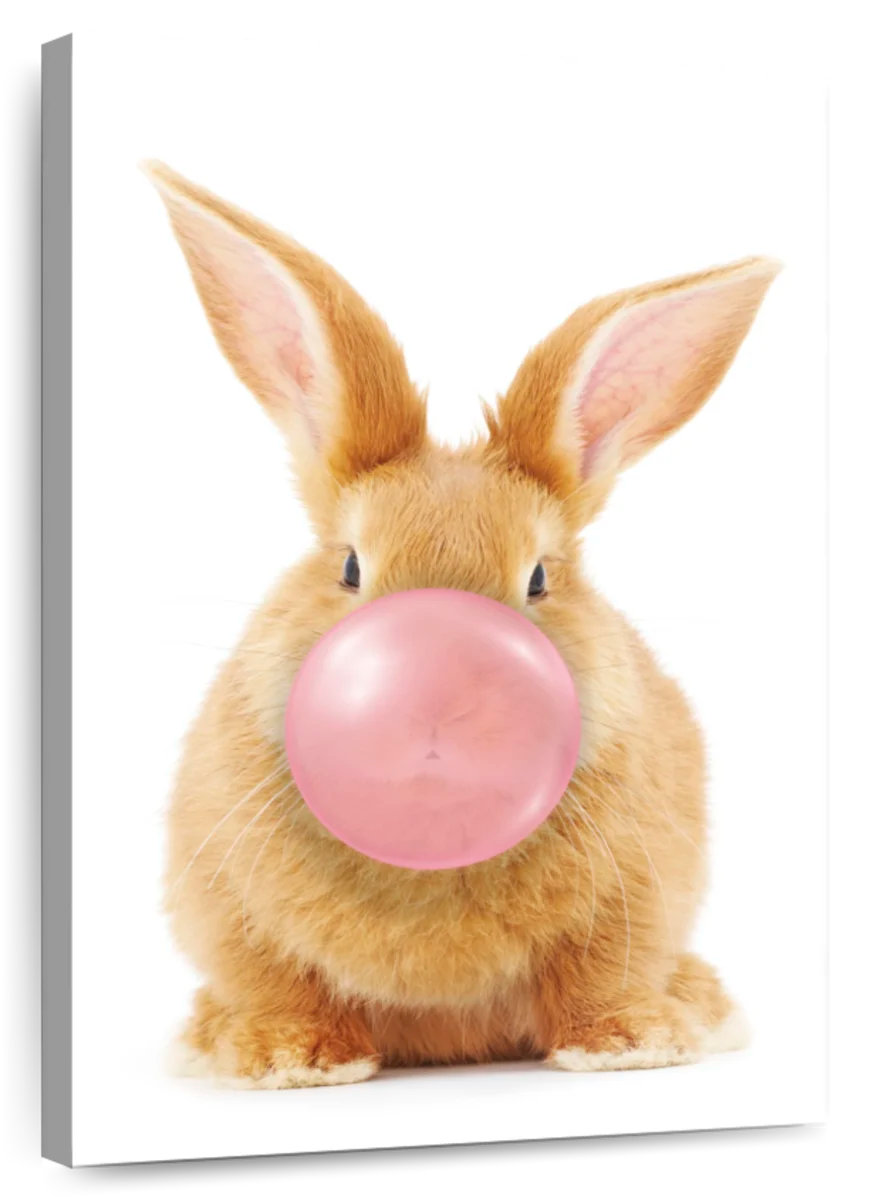 Trinx Rabbit Bubble Gum - Wayfair Canada