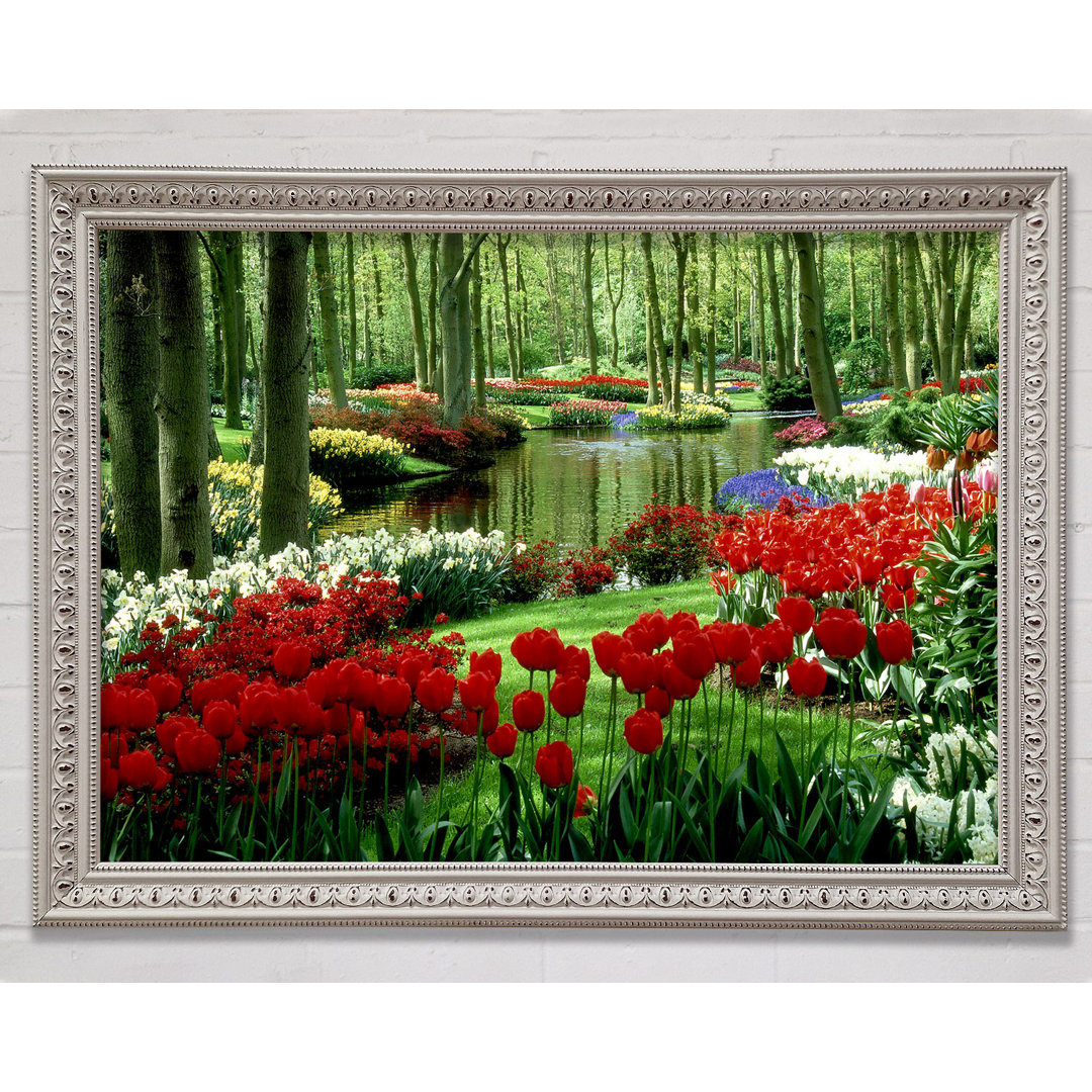 Tulip River Gerahmter Druck