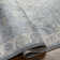 Bejou Oriental Indoor Rug