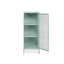 Aumya Steel Modern Storage Unit Accent Chest