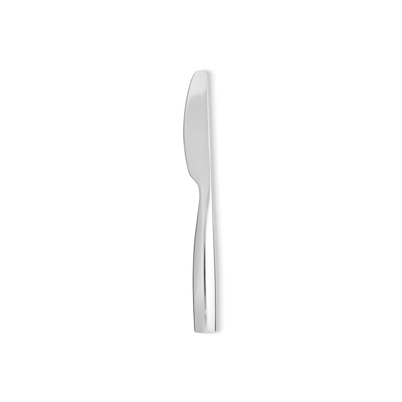 Dressed Stainless Steel Dinner Knife
