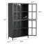 Armoire de rangement en métal noir de qualité supérieure avec portes en verre trempé, tablettes réglables, dispositif anti-basculement, fermeture silencieuse magnétique et pieds réglables pour la maison et le bureau