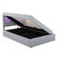 Dazha Upholstered Ottoman Storage Bed-688678290