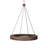 Rustic Lodge 1 Steel Chandelier