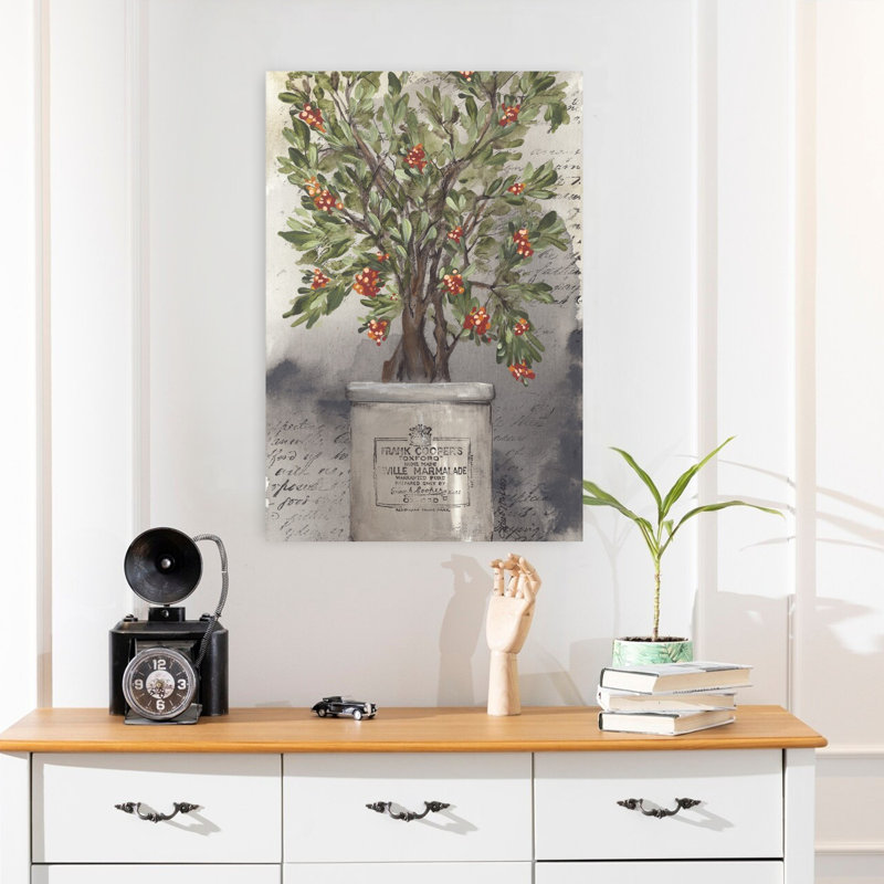 Art d'hiver rustique plante aigre-douce, H 24 po x l 16 po