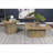 Exeter Mango Square 2-Piece Coffee Table Set