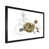 Black Picture Frame