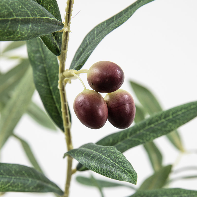 172cm Faux Olive Tree Tree in Planter, 172" H x 100" W x 18" D