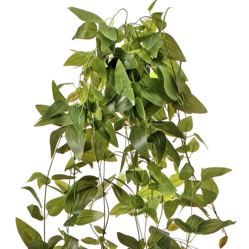 41 "plante à feuillage artificiel