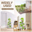 Plant Stand - Set of 7
