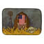 Tapis de séchage Patriotic Barn Land