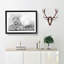 Leopard Resting - Picture Frame Photograph Print-56633106-56633107
