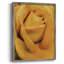«Soft Flower Petals IV», reproduction encadrée - bois massif-2021950786