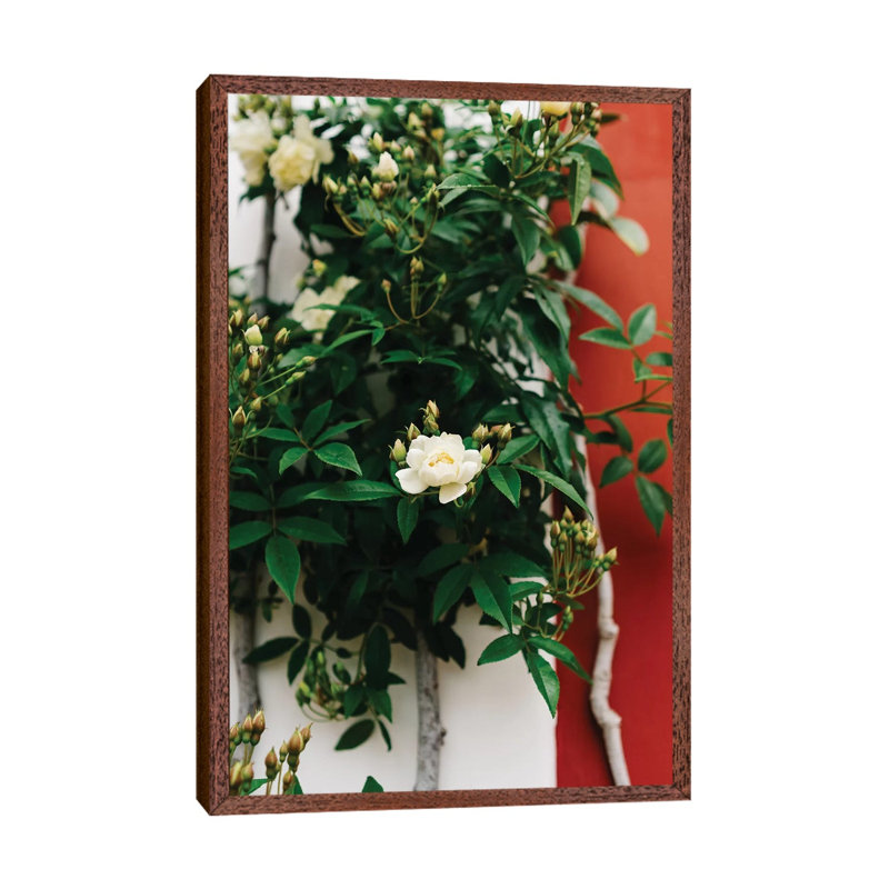 Positano Blooms I by Bethany Young - Print on Canvas, 66.04cm H x 45.72cm W x 3.81cm D, Classic Brown Wood Framed