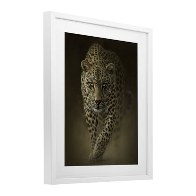 «Savage Leopard prédateur», reproduction encadrée sous verre